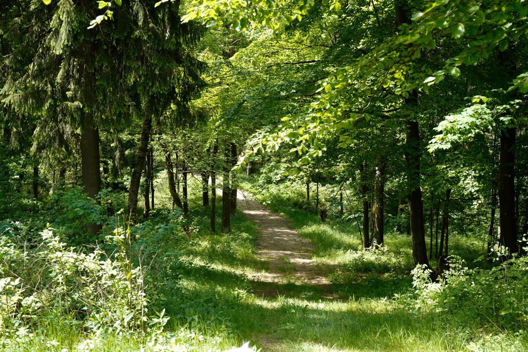 Ferienhaeuser Olbernhau Erzgebirge Exterior foto